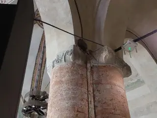 Capitelli della chiesa - Chiesa di San Francesco a Cuneo