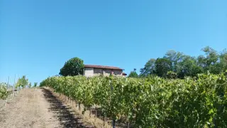 Vista - Oratorio di Sant'Antonino a Cressa