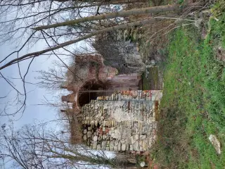 Vista - Oratorio di San Clemente a Barengo