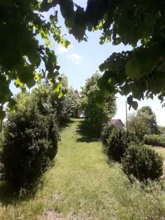 Viale di accesso - Chiesa di Santa Maria di Rasetto a Castelnuovo Don BoscoFrazione Mondonio