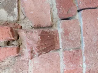 Peduccio - Pieve di Santa Maria a Chiusano d'Asti