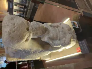 Leone stiloforo - Duomo o Cattedrale di San Lorenzo a Alba