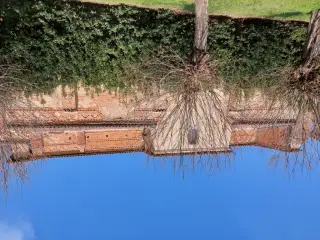 Fianco - Chiesa di San Giacomo a Giarole