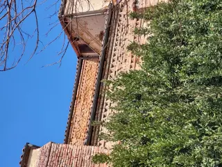 Fianco - Chiesa di San Giacomo a Giarole