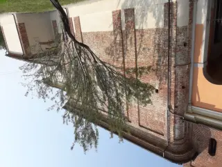 Fianco - Chiesa di San Firmino a Cercenasco