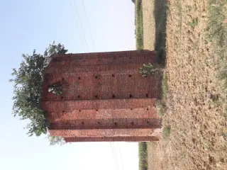 Abside - Chiesa della Madonna del Buontempo o delle Grazie a Ceresole d'AlbaFrazione Novareisa