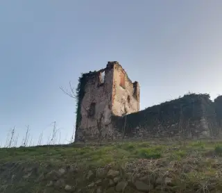 Ruderi di Santa Maria - Resti Chiesa di Santa Maria in Castellazzo a CureggioFrazione Castellazzo