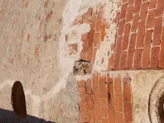 Resti di fregio - Chiesa di San Michele a Dusino San Michele