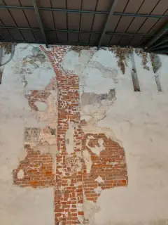 Resti di affreschi - Resti Chiesa di San Francesco a Fossano
