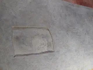 Volto - Cappella della Madonna del Boschetto a Frossasco