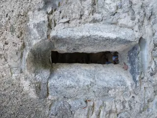 Monofora - Chiesa di Santa Maria di Luzzara a Gozzano