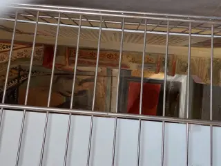 Affreschi dalla finestrella votiva - Cappella di San Gottardo a Lagnasco