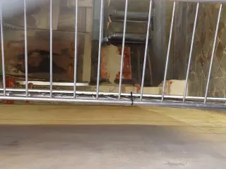 Affreschi dalla finestrella votiva - Cappella di San Gottardo a Lagnasco