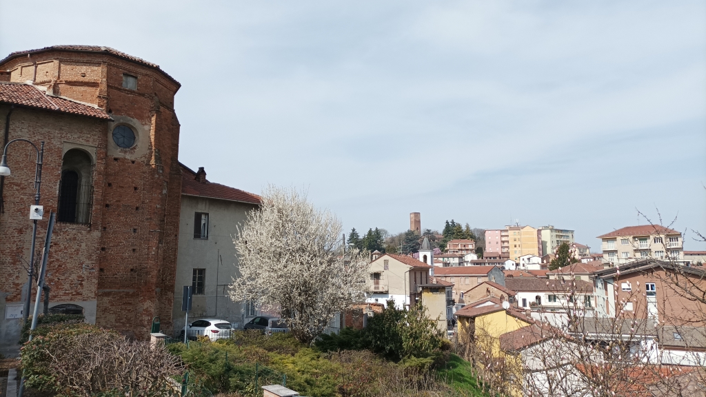 San Salvatore Monferrato - PARROCCHIALE DI  SAN MARTINO-Abside