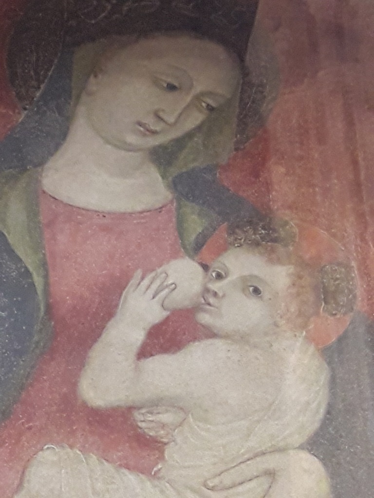 Asti - CATTEDRALE DI  MARIA ASSUNTA E SAN GOTTARDO-Madonna del latte
